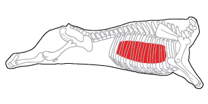 Mapa Ribs - Costilla alta Nicaragua - Nuevo Carnic