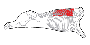 Mapa Ribeye Roll