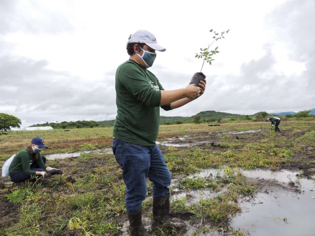 Reforestation day