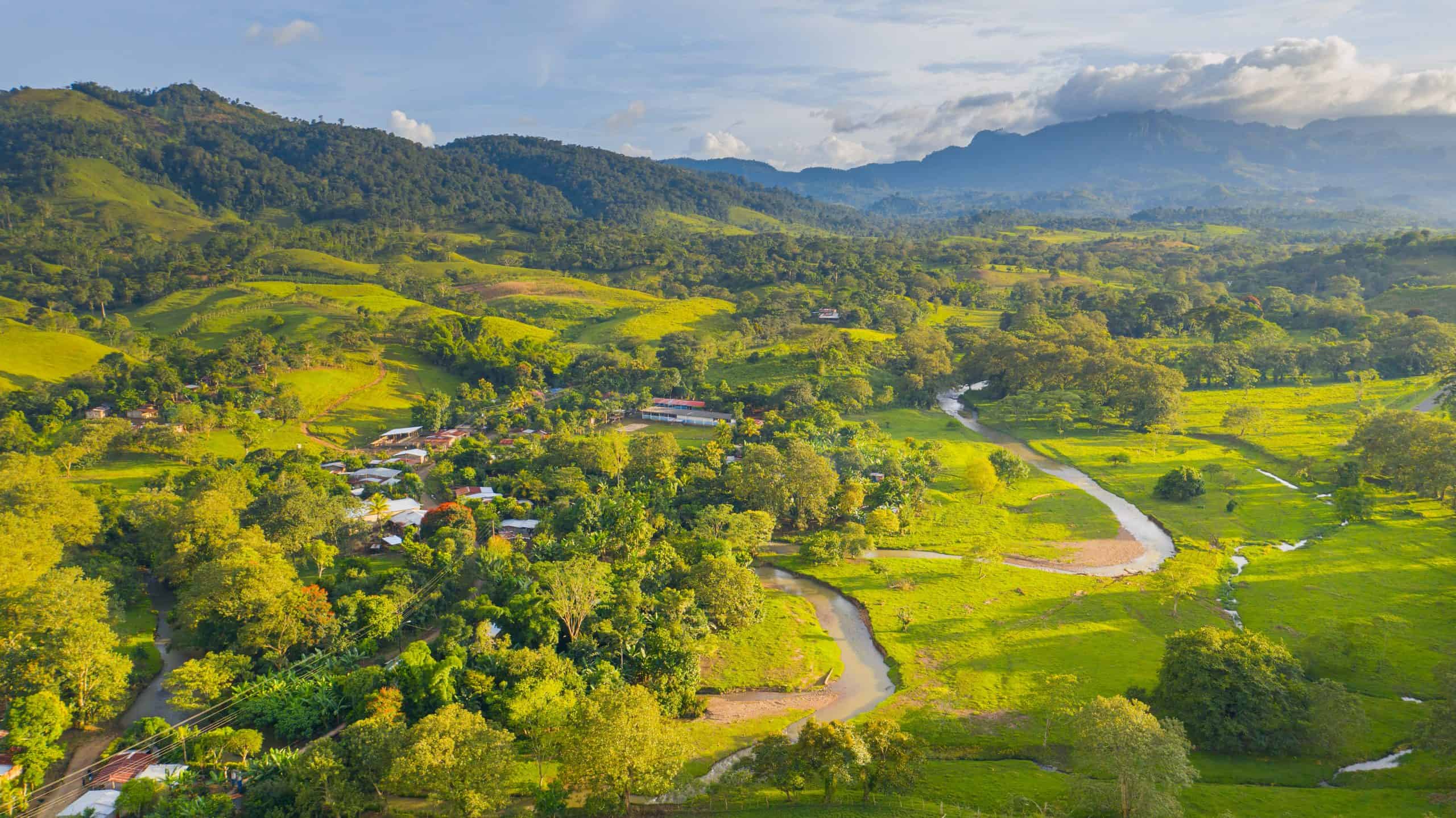 Sustainability - Nicaraguan beef