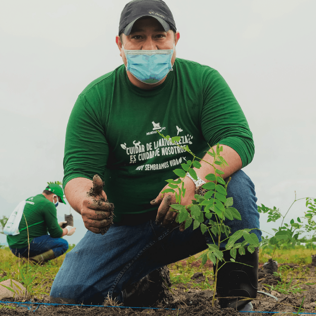 Reforestation Program - Nicaraguan beef