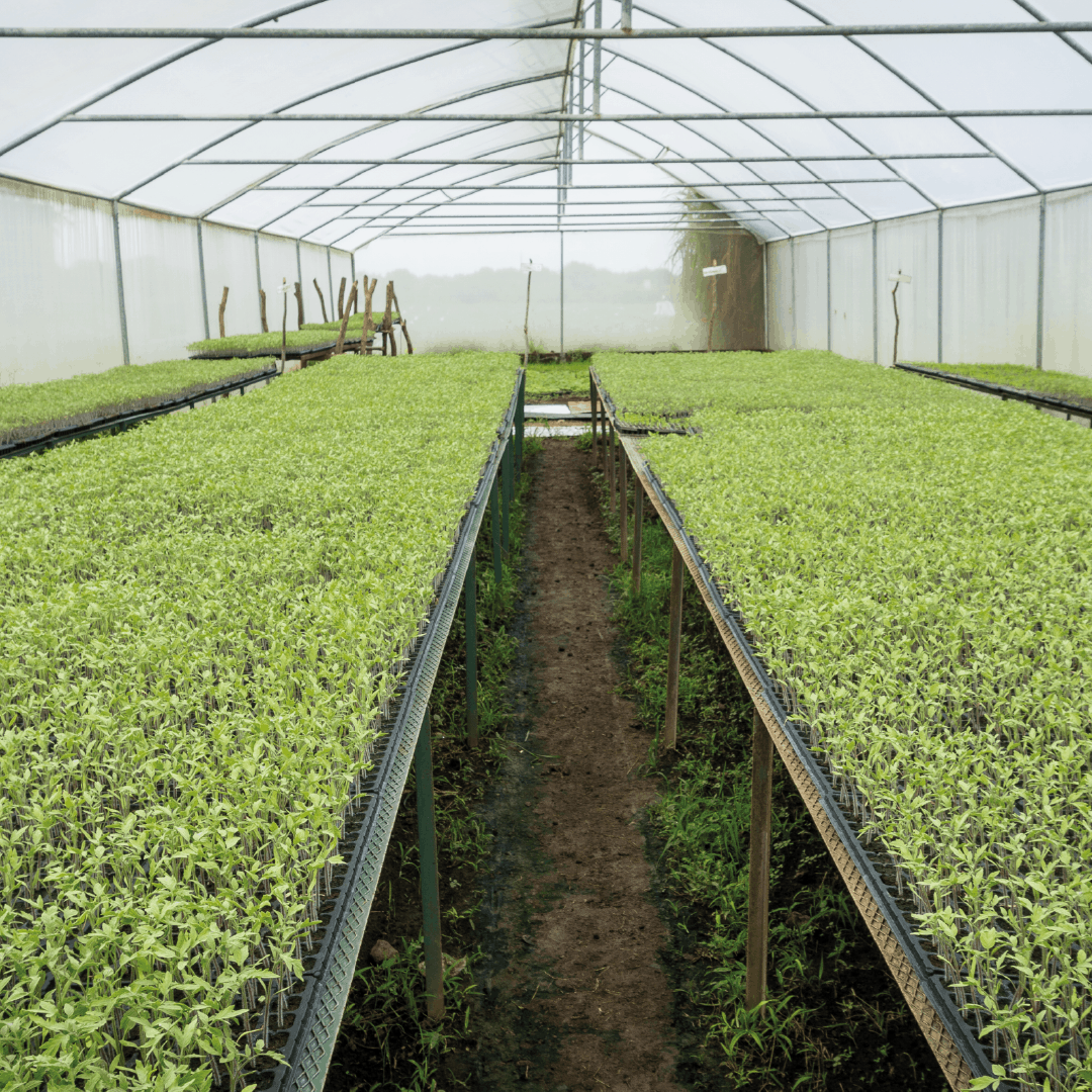 Organic Fertilizer plant Organic Fertilizer plant - Environmental - Nicaraguan beef