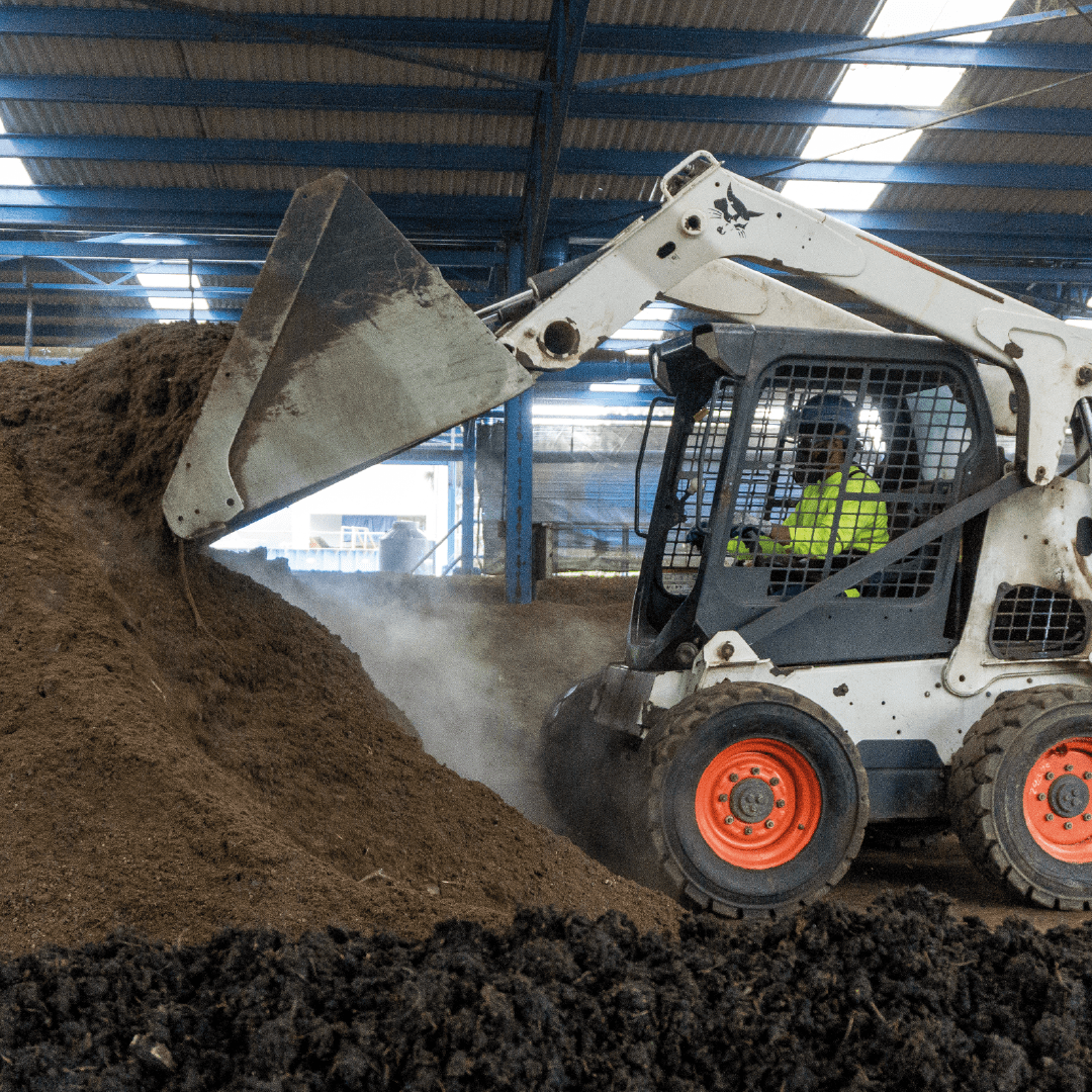 Solid waste management - Nuevo Carnic Solid waste management - Nuevo Carnic