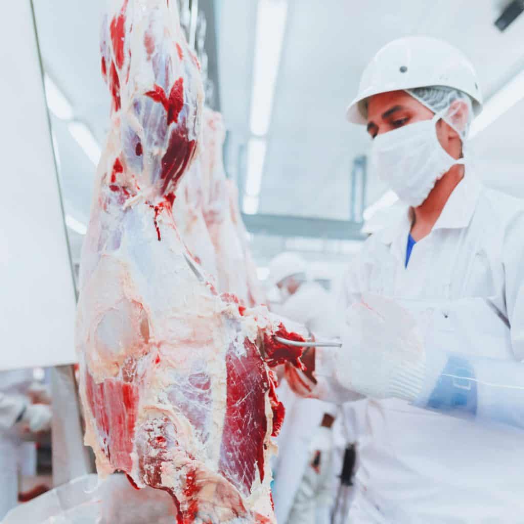 Food safety polices