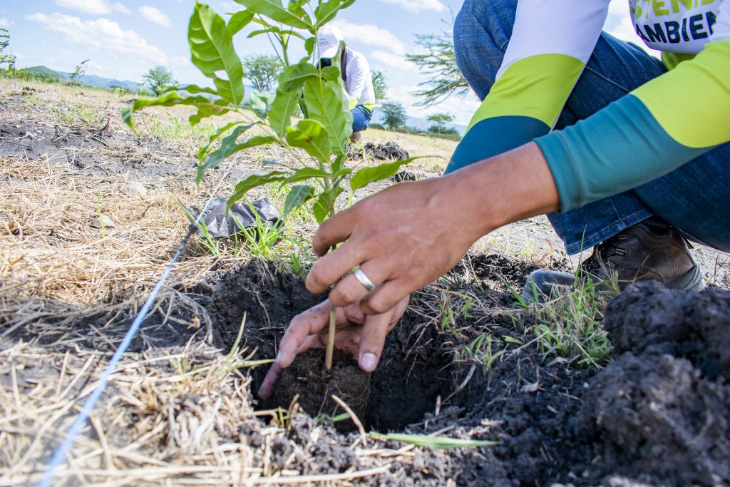 We are Environmental Sustainable